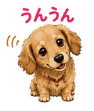 842862550