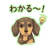 842862628