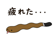 842862697