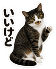 842863091