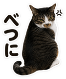 842863094