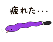 842863257