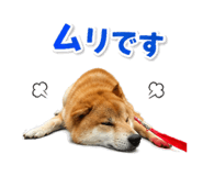 842863866
