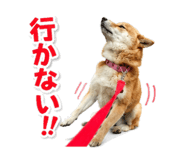 842863867