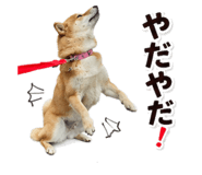 842863869