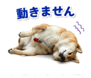 842863875