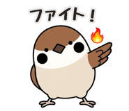 842864028
