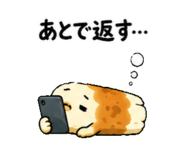842864751