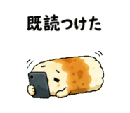 842864755