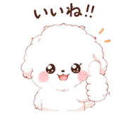 842864906
