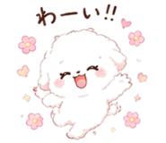 842864915
