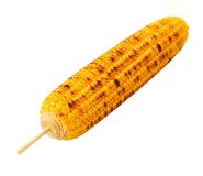842865511