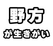 842865800