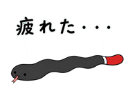 842865857
