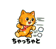 842866555