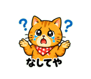 842866558