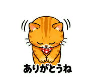 842866564