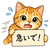842866808