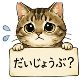 842866934