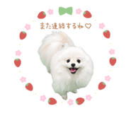 842867715