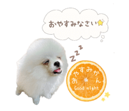 842867728