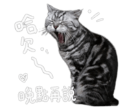 842868529