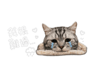 842868534