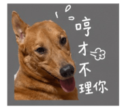 842868594