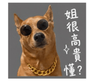 842868595
