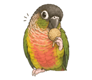 842868779
