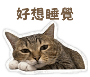 842869387
