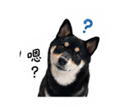 842869780