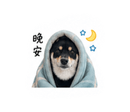 842869786