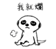 842869862