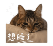 842870092