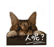 842870094