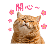 842870767