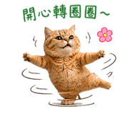 842870778