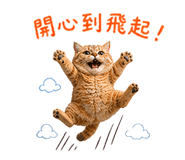 842870779