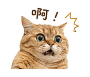 842870782