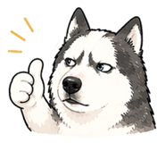 842871248
