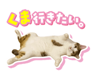 842872810