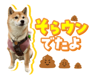 842872817