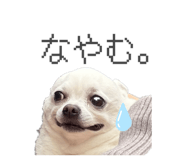 842873148