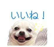 842873149