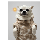 842873154