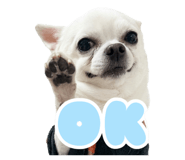 842873166