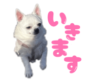 842873168