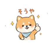 842873561