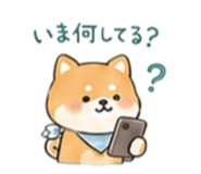 842873570